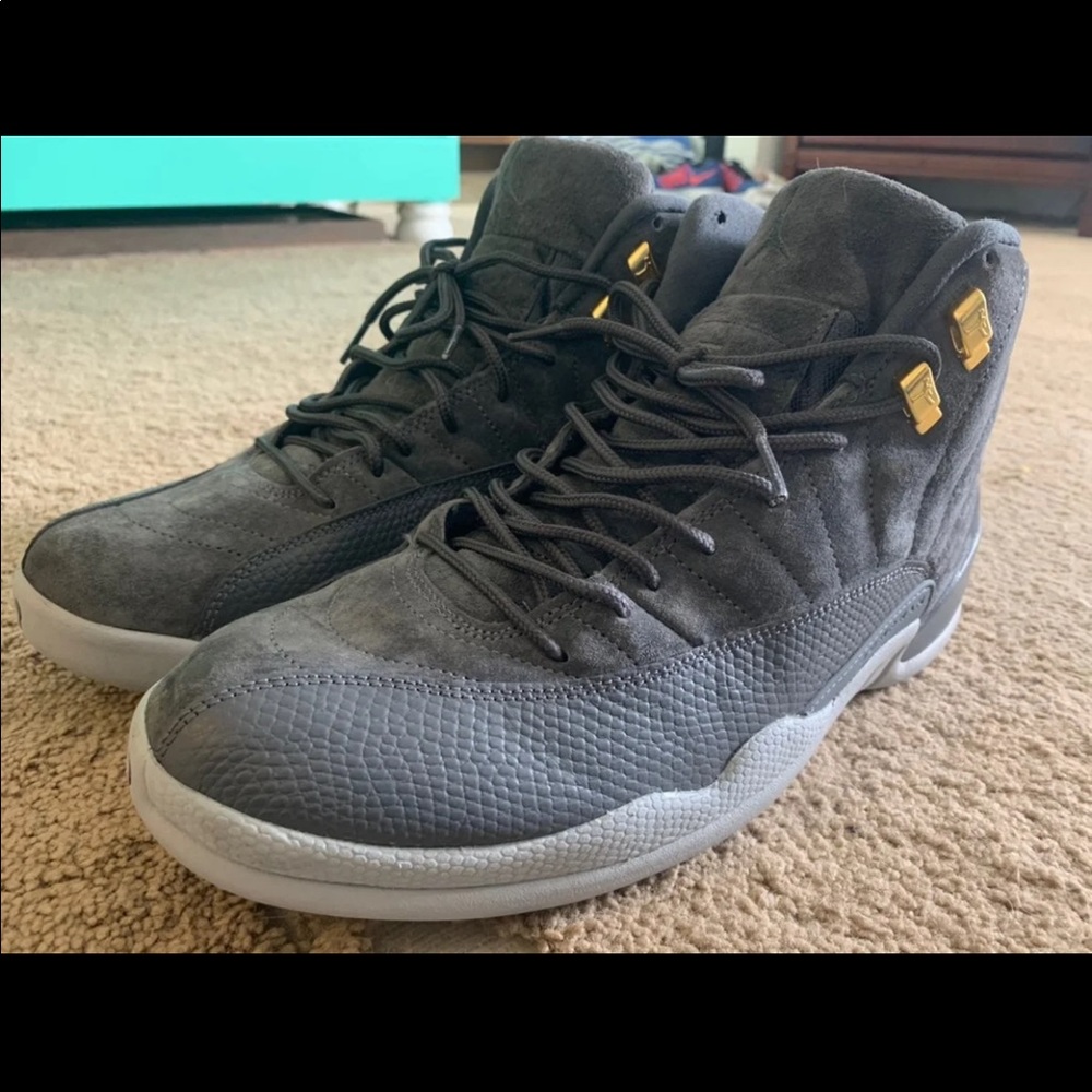 Wolf grey 12